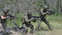 Пока вражеские «птички» не видят: ВС РФ сдвинули линию фронта в Кременских лесах