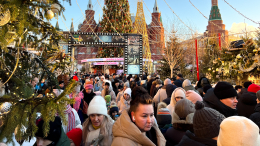 Петербург и Мальдивы: где россияне встретят Новый год