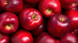 Сушить или мочить? Как заготовить яблоки на зиму, чтобы сохранить вкус и пользу