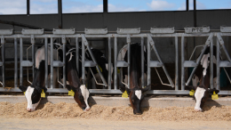 Патрушев: в РФ создана одна из лучших в мире практик в сфере агропромышленного комплекса