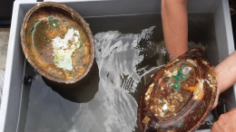 Водолазы извлекли артефакты из однотипного с «Титаником» лайнера