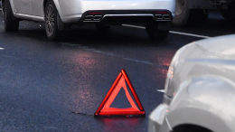 Женщина насмерть сбила медвежонка на трассе в Сочи