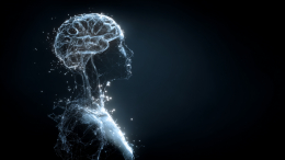 «Будет помогать»: ученые создают ИИ-помощника, способного продвинуть науку