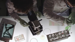 Вкусная обманка: чем опасны сахарозаменители