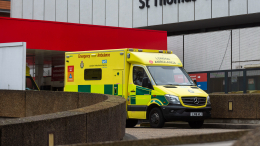 От укуса насекомого умерла 30-летняя актриса Марисса Лайму