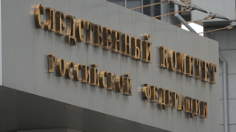 Воспитательница в Нижнекамске избила ребенка на прогулке