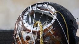 Погибли десять мышей, полетевших в космос на спутнике «Бион-М»