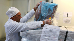 Дорожные посты ветеринарного контроля товаров между регионами могут появиться в России