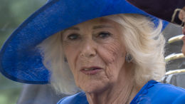 «Злая мачеха»: принцы Гарри и Уильям обзывали Камиллу после смерти матери