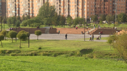 Общественные слушания могут стать обязательными в России