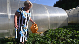 Не спешите укрывать огород: важные правила подготовки участка к морозам