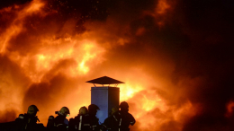 При пожаре в новосибирском зоопарке погибли 11 животных