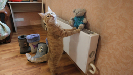 Собянин: Москва приступает к включению отопления