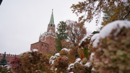 Первый снег откладывается: метеоролог оценил вероятность появления зимних осадков осенью