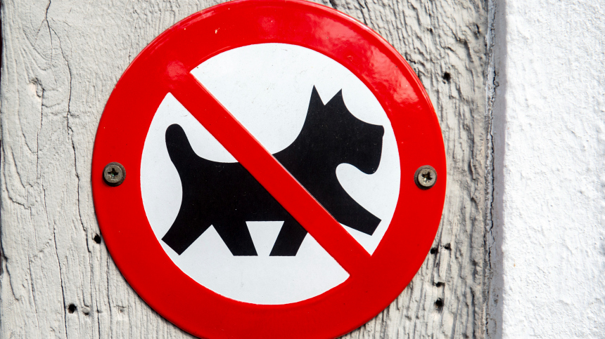 Какой новый законопроект о животных готовит Госудума