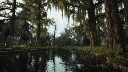 Найденные в болоте останки американки опознали спустя 50 лет