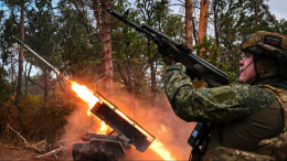 В Минобороны раскрыли детали освобождения Березового в Днепропетровской области