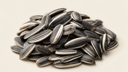 Смело грызите: сколько можно съедать семечек за раз