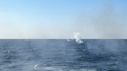 Минобороны РФ показало кадры уничтожения безэкипажного катера ВСУ в Черном море