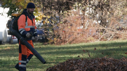 Жители Петербурга жалуются на шумную уборку листьев