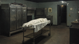 Тело австралийца вернули его матери без сердца: орган остался в Индонезии