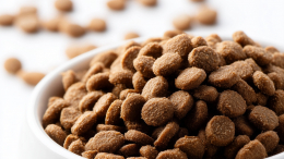 «Искусный скряга»: китайский студент вынужден питаться кошачьим кормом ради экономии