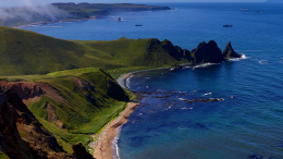 Морской монстр: на берегах Курил обнаружены останки гигантского существа