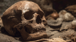 Наш вид старше на миллион лет: окаменелый череп изменил эволюционную карту