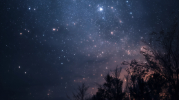 Небо под угрозой: указ Трампа может скрыть звезды за спутниками