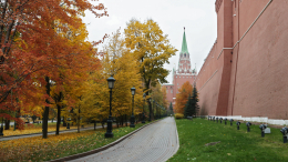 Первые заморозки: москвичам рассказали о погоде на следующей неделе