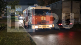 В Москве загорелся собачий приют: 13 животных погибли, один человек пострадал