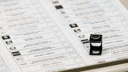 Гуцул призвала молдаван голосовать на выборах против внешнего управления