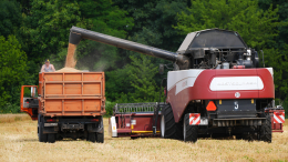 Рост или стоп: чем грозит снижение прогноза по сельскому хозяйству