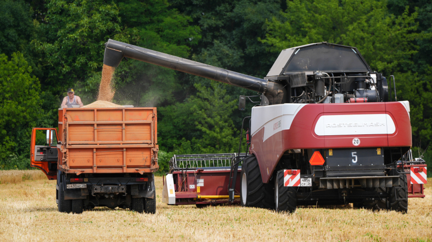 Сельское хозяйство в России