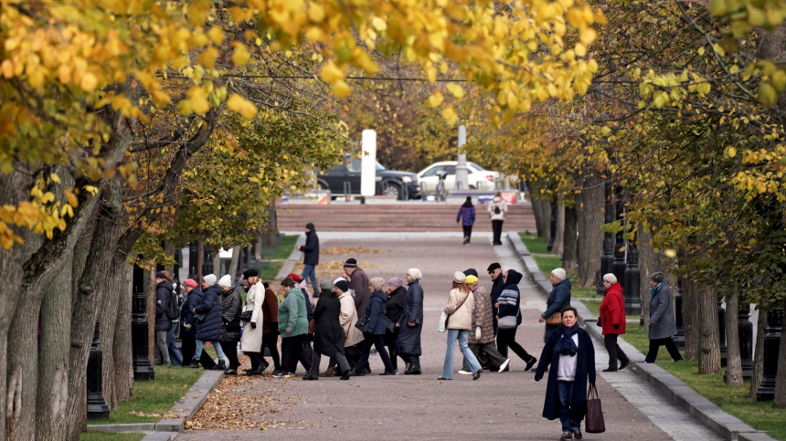 Это нужно «человеческому мотору»: врач назвала продукты для здоровья сердца