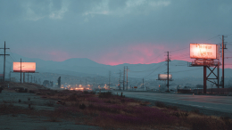 Ищу мужа: девушка выкупила рекламные билборды для поиска второй половинки