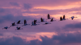 Аринин день: народные приметы на 1 октября 2025