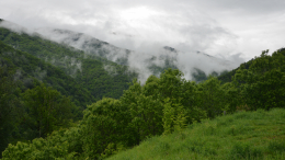 Ждут улучшения погоды: спасатели продолжают эвакуацию туристов с горы Фишт