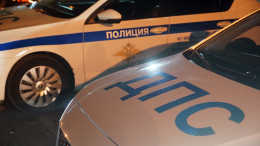 Дочь бывшего главаря Цапков разнесла дом под Таганрогом