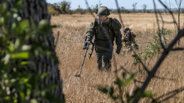 Саперы «открывают» дорогу технике в Запорожской области. Лучшее видео из зоны СВО