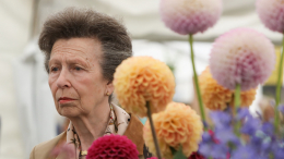 В строгой секретности: в Киев приехала сестра британского короля Анна