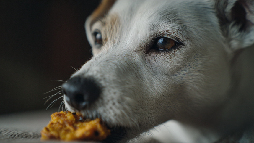 Женщина погибла из-за наггетса