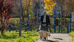 В Москве ввели новые штрафы за нарушение правил выгула и содержания собак