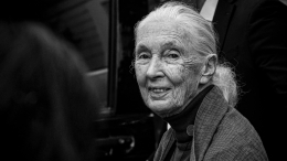На 92-м году жизни умерла легендарный британский приматолог Джейн Гудолл