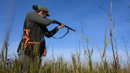 Правительство одобрило повышение охотничьих сборов с 2026 года