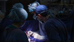 Прокрустово ложе: зачем высокие женщины хотят укоротить ноги