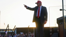 «Комфортный собеседник»: Путин поделился впечатлениями о переговорах с Трампом