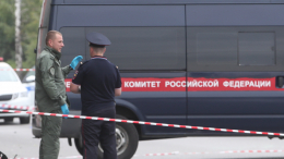 Расчленил и спрятал в лесу: на камчатке 74-летний начальник убил своего сотрудника