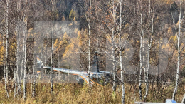 Тайга молчит: в Красноярском крае продолжаются поиски пропавшей семьи