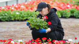 Летний городской декор обрел вторую жизнь в библиотеках и детских садах Москвы